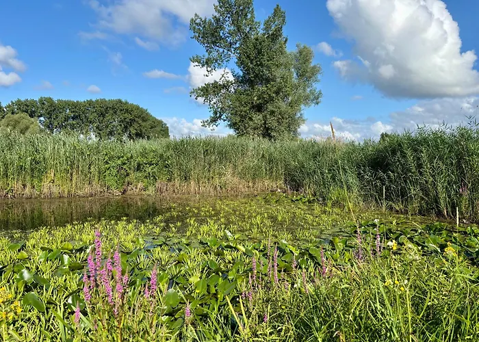 IJsselgoud